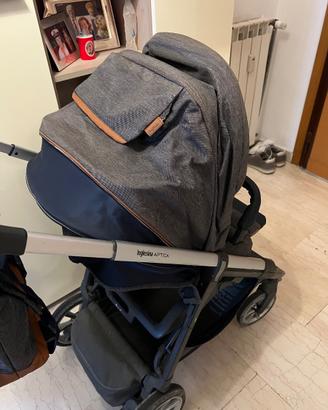 Inglesina aptica 2018-2019