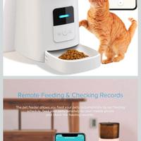 Distributore automatico per Cani e Gatti Wireles