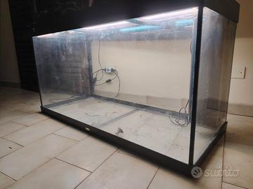 acquario 240 l
