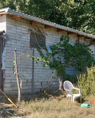 Terreno Agricolo con frutteto e fabbricati
