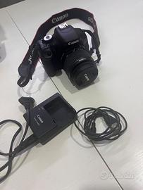 CANON EOS600 D + TAMRON ZOOM