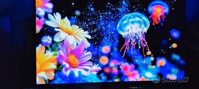 TV TCL 65 POL. 4K HDR ULTRA HD QLED (leggermente t