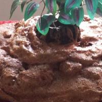 Isole galleggianti per anfibi artarughe acquatiche