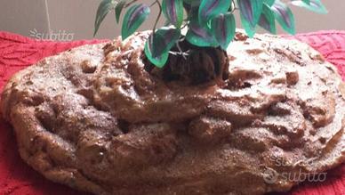 Isole galleggianti per anfibi artarughe acquatiche