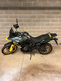 Suzuki V - Strom 800 DE 2024