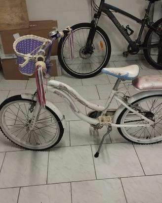 bicicletta