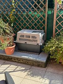 Kennel XL