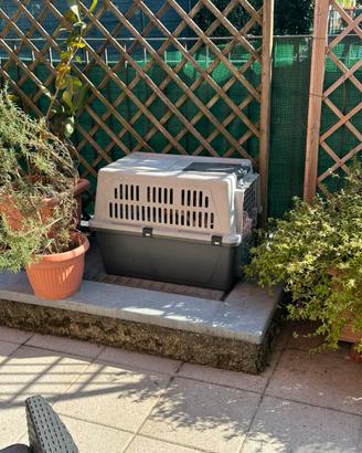 Kennel XL