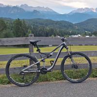 MTB Specialized Stumpjumper Comp FSR 29 L (S4)