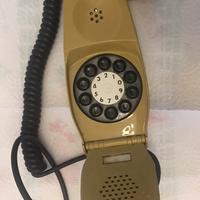 Telefono Grillo