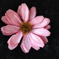 Molletta floreale per capelli