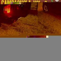 Disco in vinile 33 giri "Campagnola vol.2"