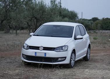 Polo 2010 gpl casamadre