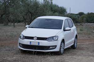 Polo 2010 gpl casamadre