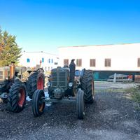 Trattore LANDINI testacalda L55