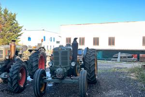 Trattore LANDINI testacalda L55