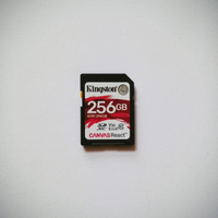 Scheda SD 256GB Kingston SDR Canvas React V30 SD