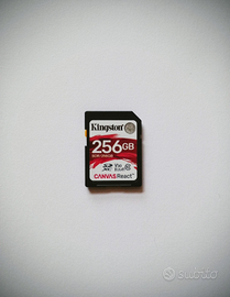 Scheda SD 256GB Kingston SDR Canvas React V30 SD