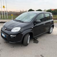 Fiat panda 1000 ybrid