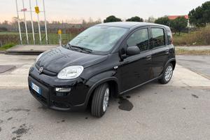 Fiat panda 1000 ybrid