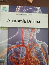 Anatomia Umana