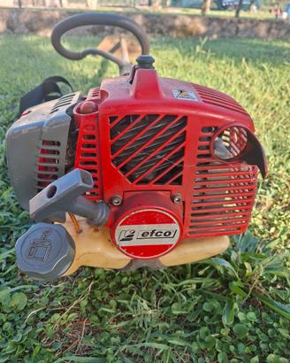decespugliatore efco ds 3200 s