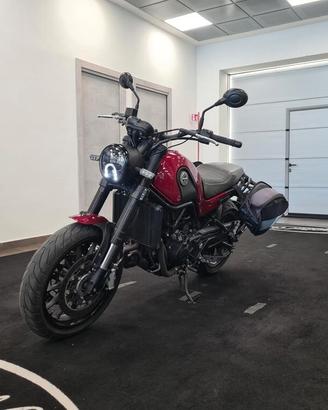 BENELLI LEONCINO 500
