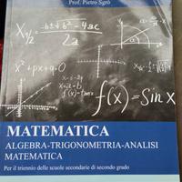 Matematica, P. Sgrò