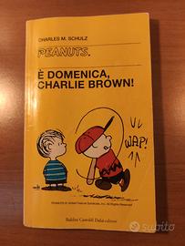 peanuts . è domenica Charlie Brown 