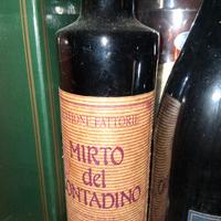 mirto