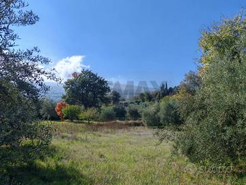 Terreno - Linguaglossa