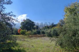 Terreno - Linguaglossa