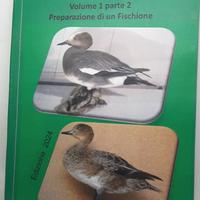 Tassidermia: Preparazione di un Fischione ed. 2023