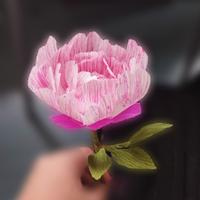 Fiori di carta crespa 