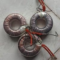 Trasformatore toroidale 230V 12V 300VA