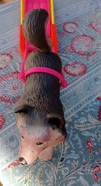 Cane e slitta di Tanya