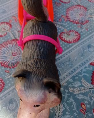 Cane e slitta di Tanya