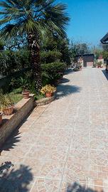 Monolocale con giardino