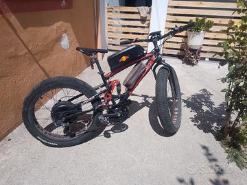 bicicletta elettrica 