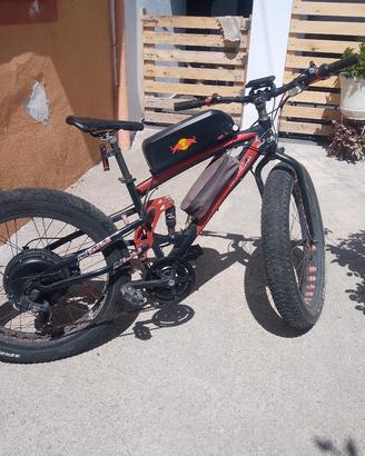 bicicletta elettrica 