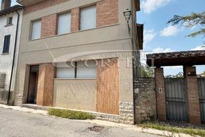 Cielo Terra con Giardino Privato PSV/120