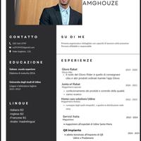 Autista , cameriere , magaziniere