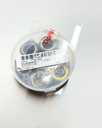 Rulli variatore dr. Pulley