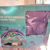 Sdraietta sireneta neonata