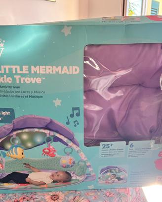 Sdraietta sireneta neonata