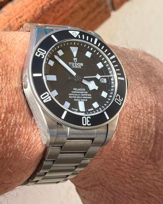 Tudor Pelagos 25600TN