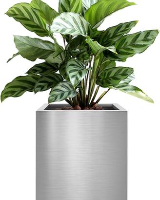 Vaso da fiori quadrato in acciaio inox, 25 cm, dec