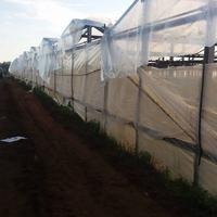 Scopertura  e copertura serre manutenzione ombregg