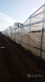 Scopertura  e copertura serre manutenzione ombregg