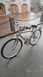Bicicletta da uomo treking